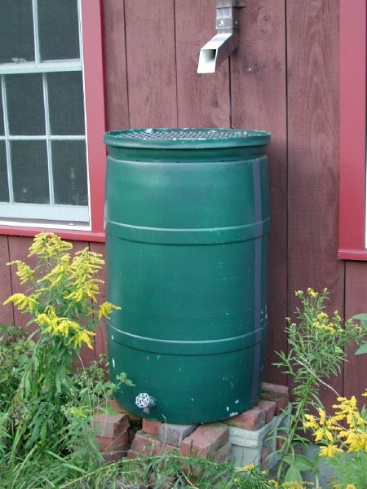 Rain Barrels